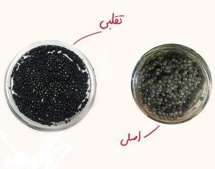 تشخیص خاویار اصل از تقلبی