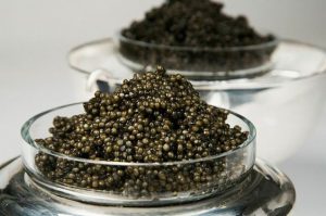 خاویار فیل ماهی