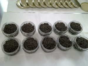 صادرات خاویار از ایران به مالزی