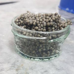 خاویار بلوگا ایران