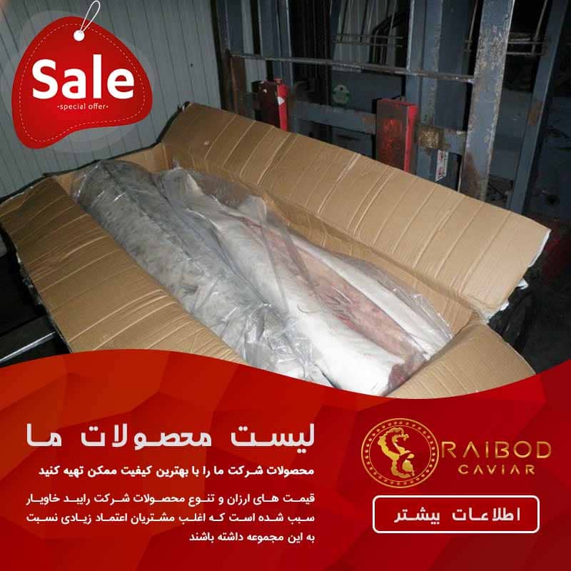 صادرات گوشت فیل ماهی خاویاری