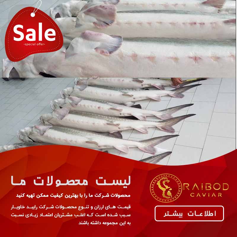 مراکز فروش انواع ماهی خاویار در ایران