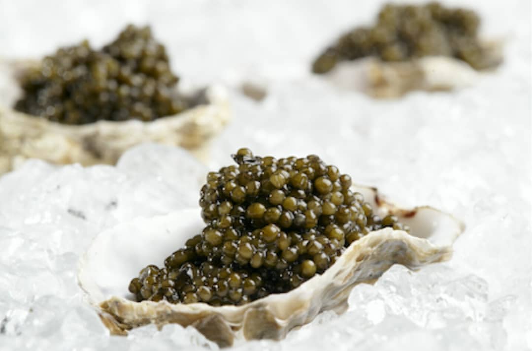 caviar rokhshid iranian 20180318 0002