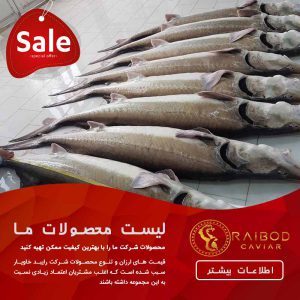 خرید و فروش ماهی خاویار زنده