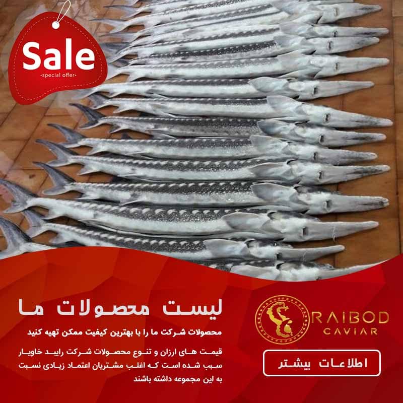 قیمت فروش ماهی خاویار