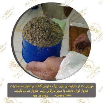 کنسرو خاویار