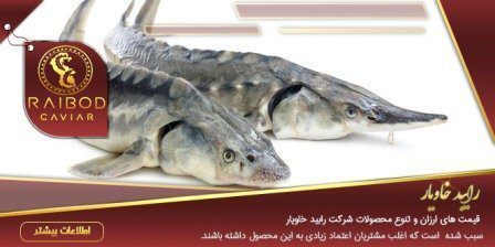ماهی خاویار ایران